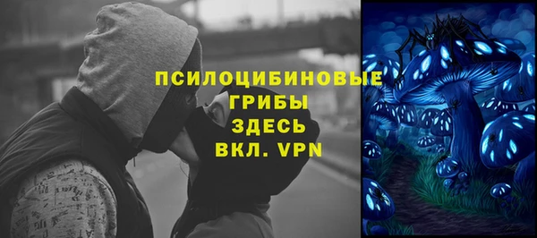 молекула духа Медвежьегорск