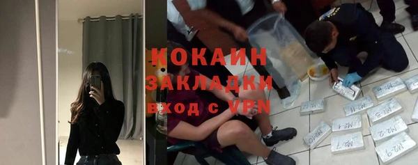 молекула духа Медвежьегорск