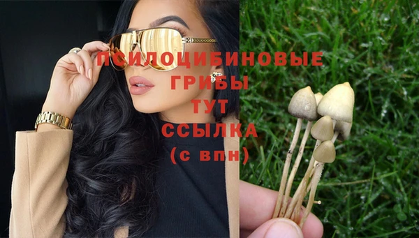 дурь Михайлов