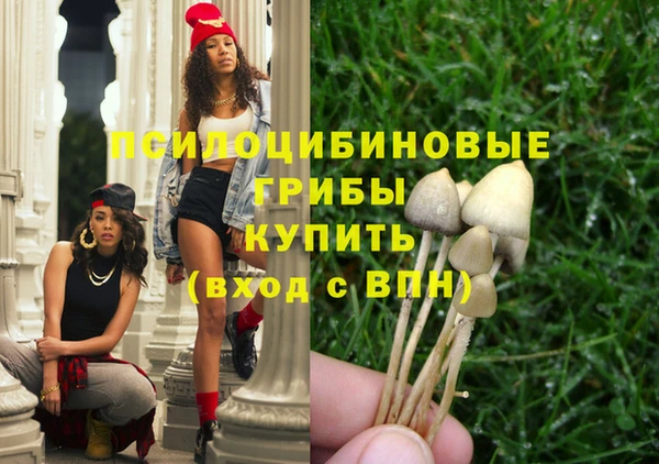 молекула духа Медвежьегорск