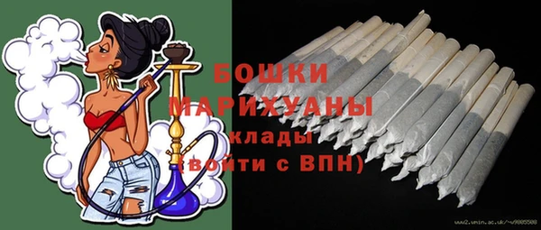 молекула духа Медвежьегорск