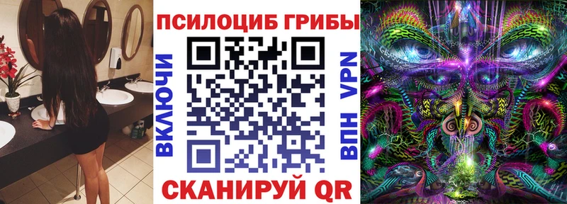 Псилоцибиновые грибы Cubensis  blacksprut ССЫЛКА  Цивильск  магазин   